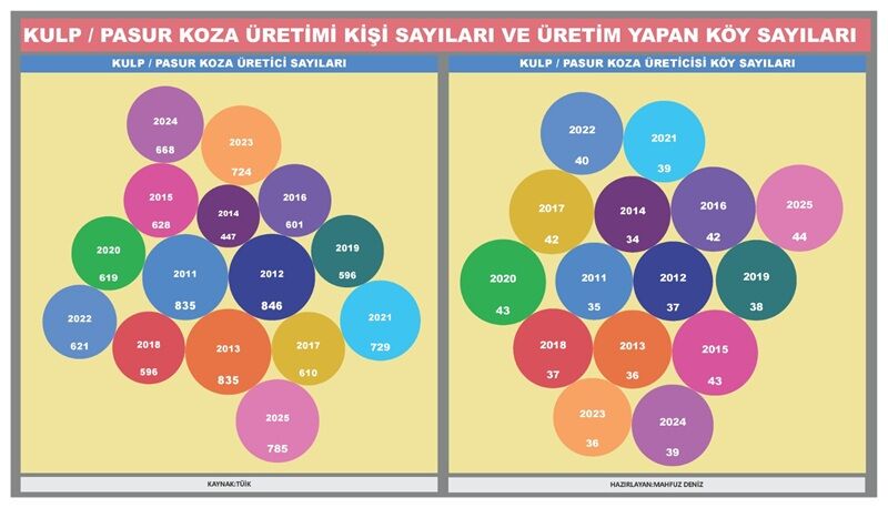 Yaş Koza 3