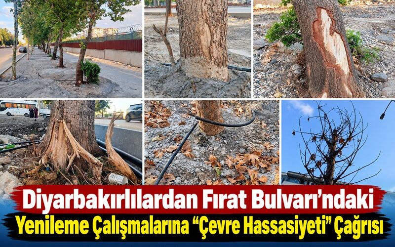Diyarbakırlılardan Fırat Bulvarı’ndaki Yenileme Çalışmalarına “Çevre Hassasiyeti” Çağrısı