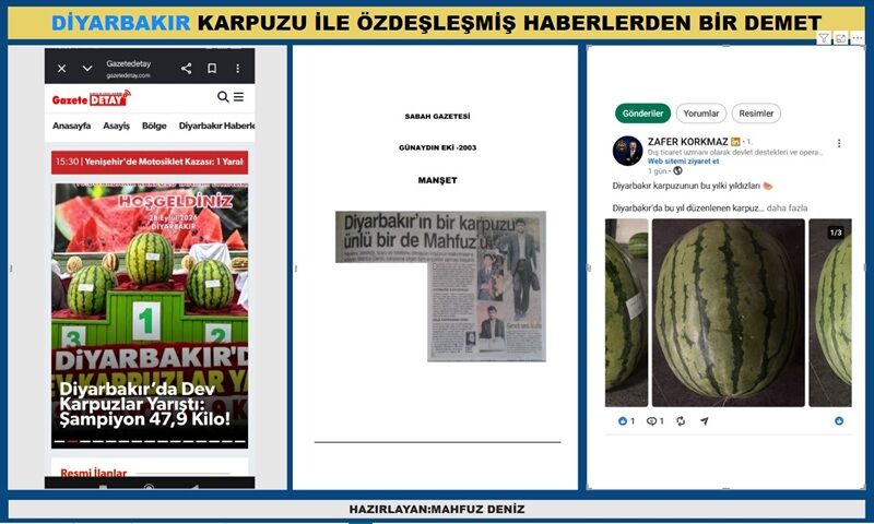 Karpuz Haberleri