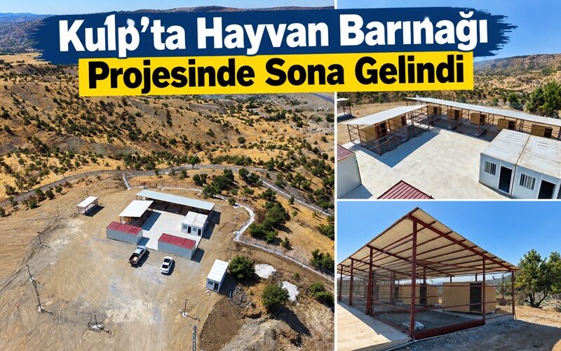Kulp’ta Hayvan Barınağı Projesinde Sona Gelindi