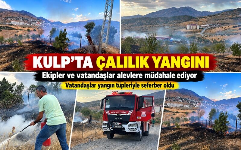 Kulp’ta Çalılık Yangını: Vatandaşlar Yangın Tüpleriyle Seferber Oldu