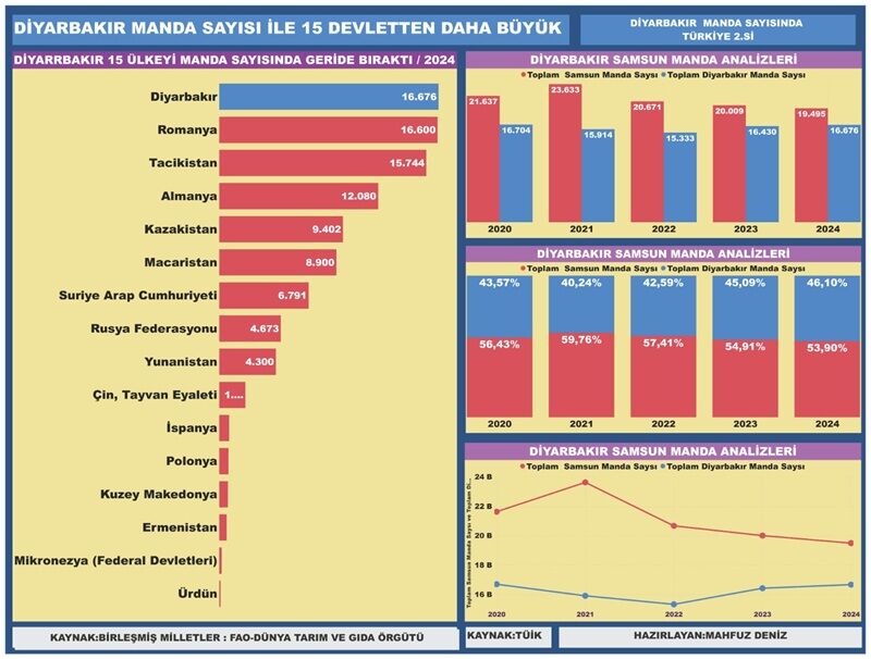 Manda Grafik
