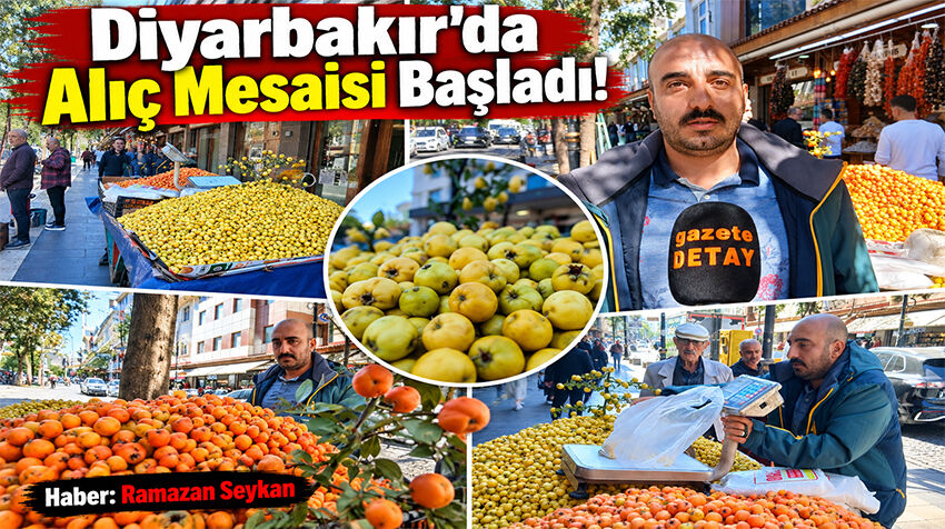 Diyarbakır'da Alıç Mesaisi Başladı!