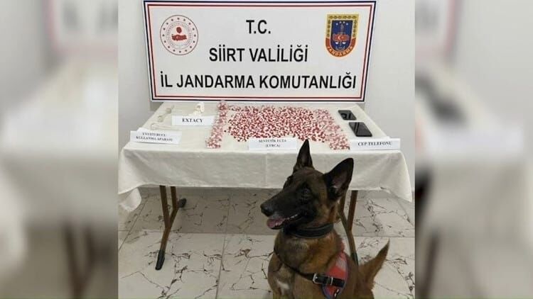 Siirt’te Otobüs Durduruldu: Çantadan Binlerce Uyuşturucu Hap Çıktı