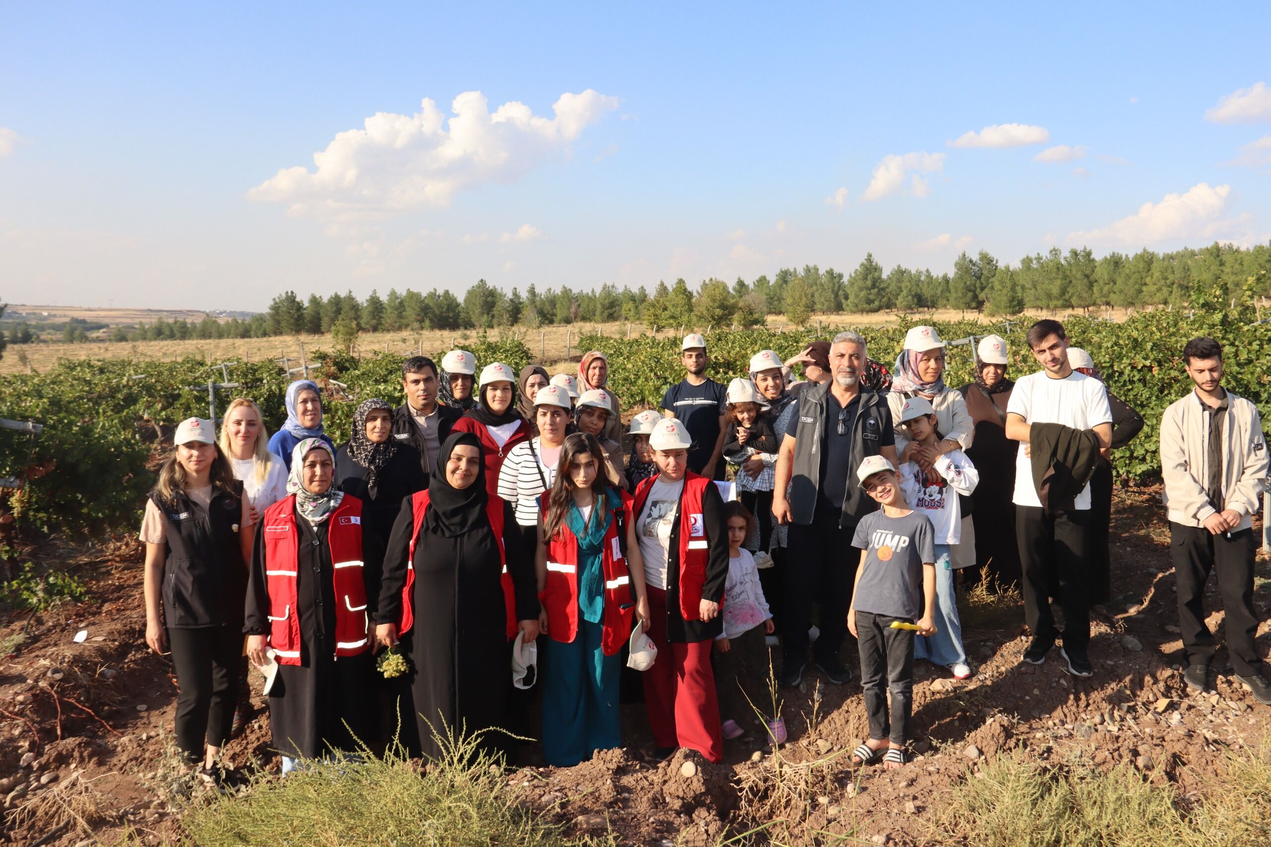 Kizilay Uzum Hasadi (3)