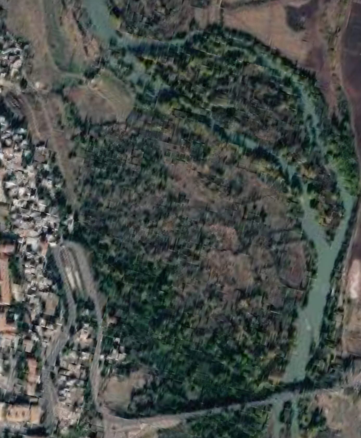Yenisehir Kaymakamlik Gul Bahcesi (2)